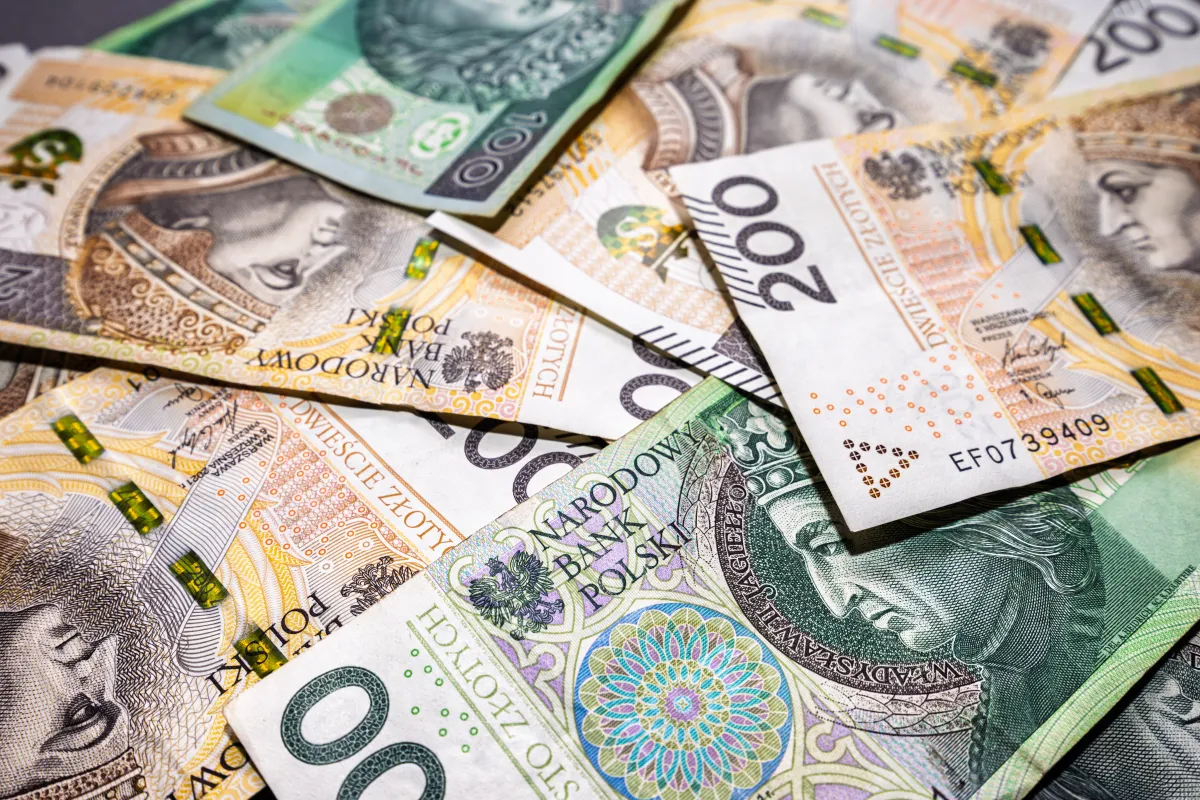 Czarna Księga wydatków publicznych: 49 kosztownych wpadek