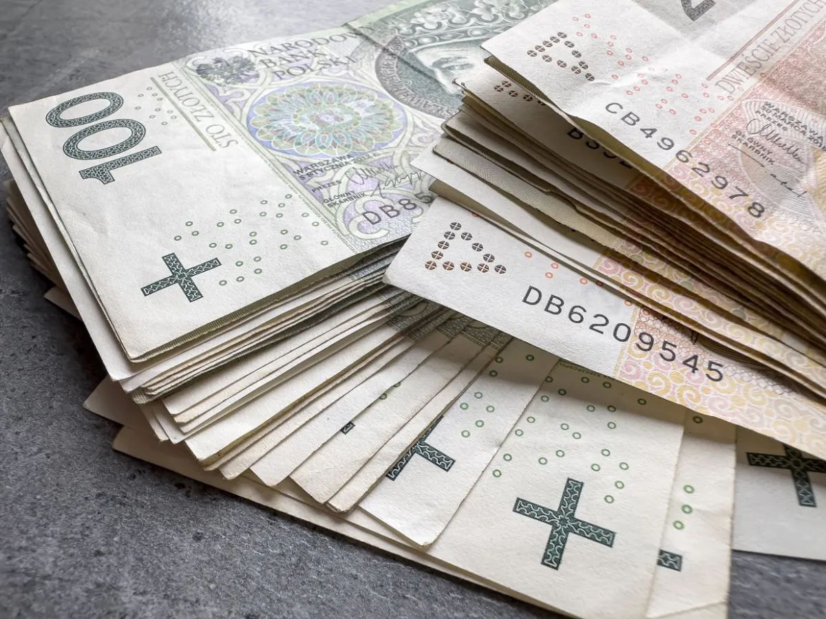 Dotacje na zadania: Co oznacza dla samorządów?