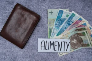 Jak walczyć z alimenciarzem? Prawa matek i dzieci w Polsce 28 Jak walczyć z alimenciarzem? Prawa matek i dzieci w Polsce